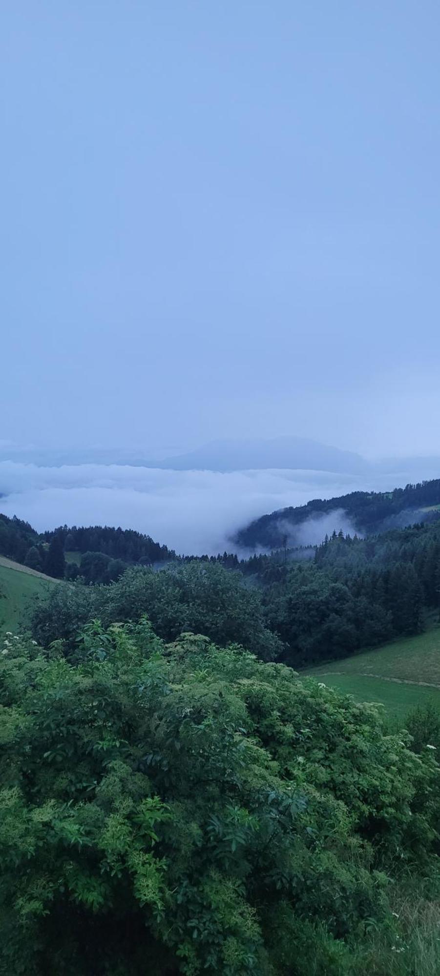 Gasthof Machwirth Griffen Exteriér fotografie