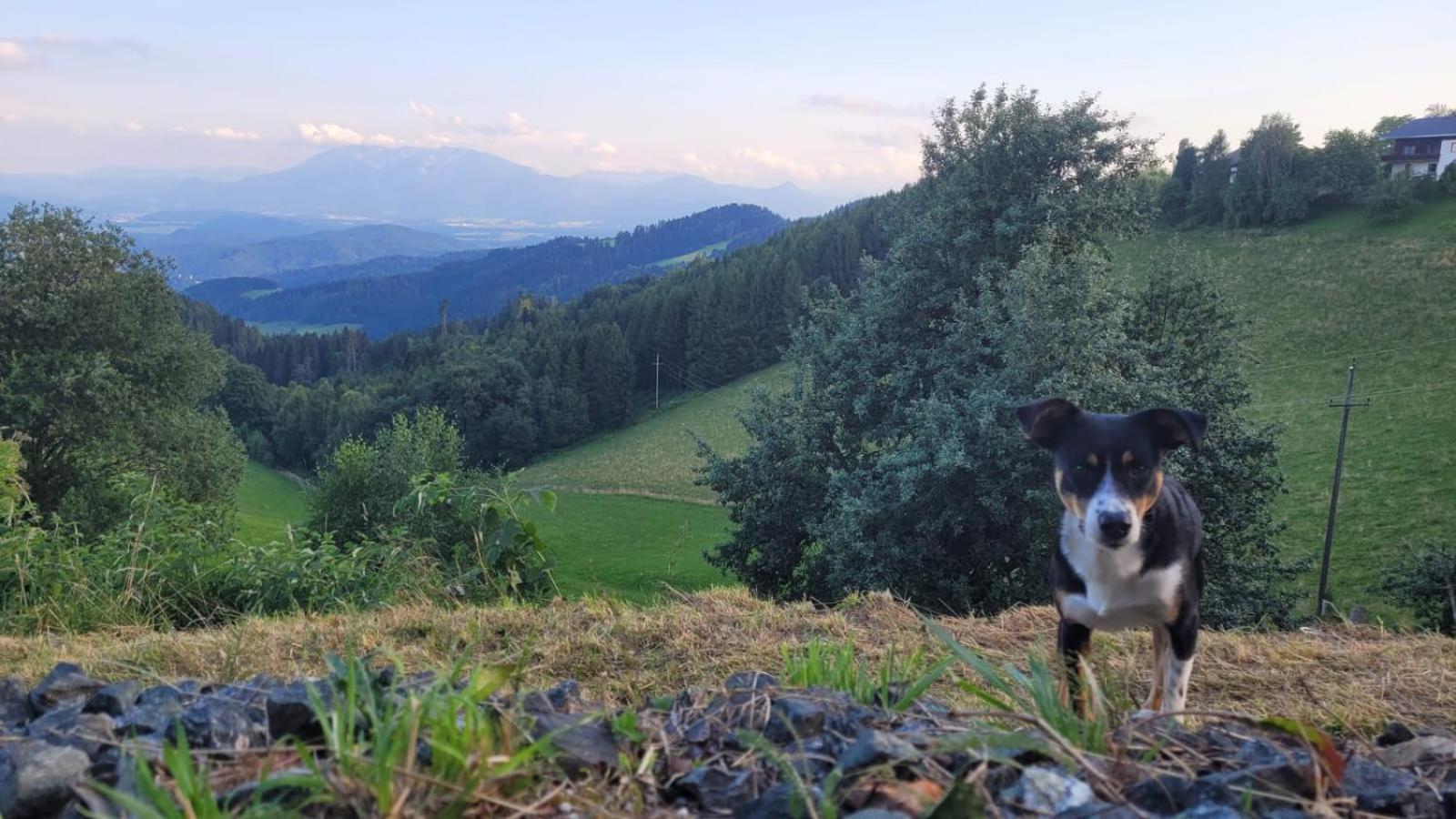 Gasthof Machwirth Griffen Exteriér fotografie